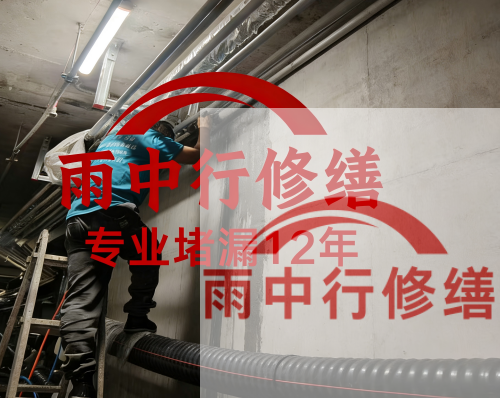 蓟州电缆线空洞堵漏加固案例